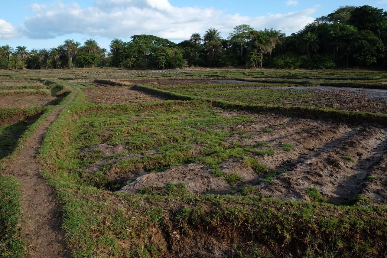 Гостевой дом Centre Touristique Et Culturel Casamance Diakene Ouolof Экстерьер фото